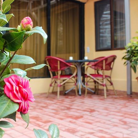 Lasha Apartment Tbilisi Exterior photo